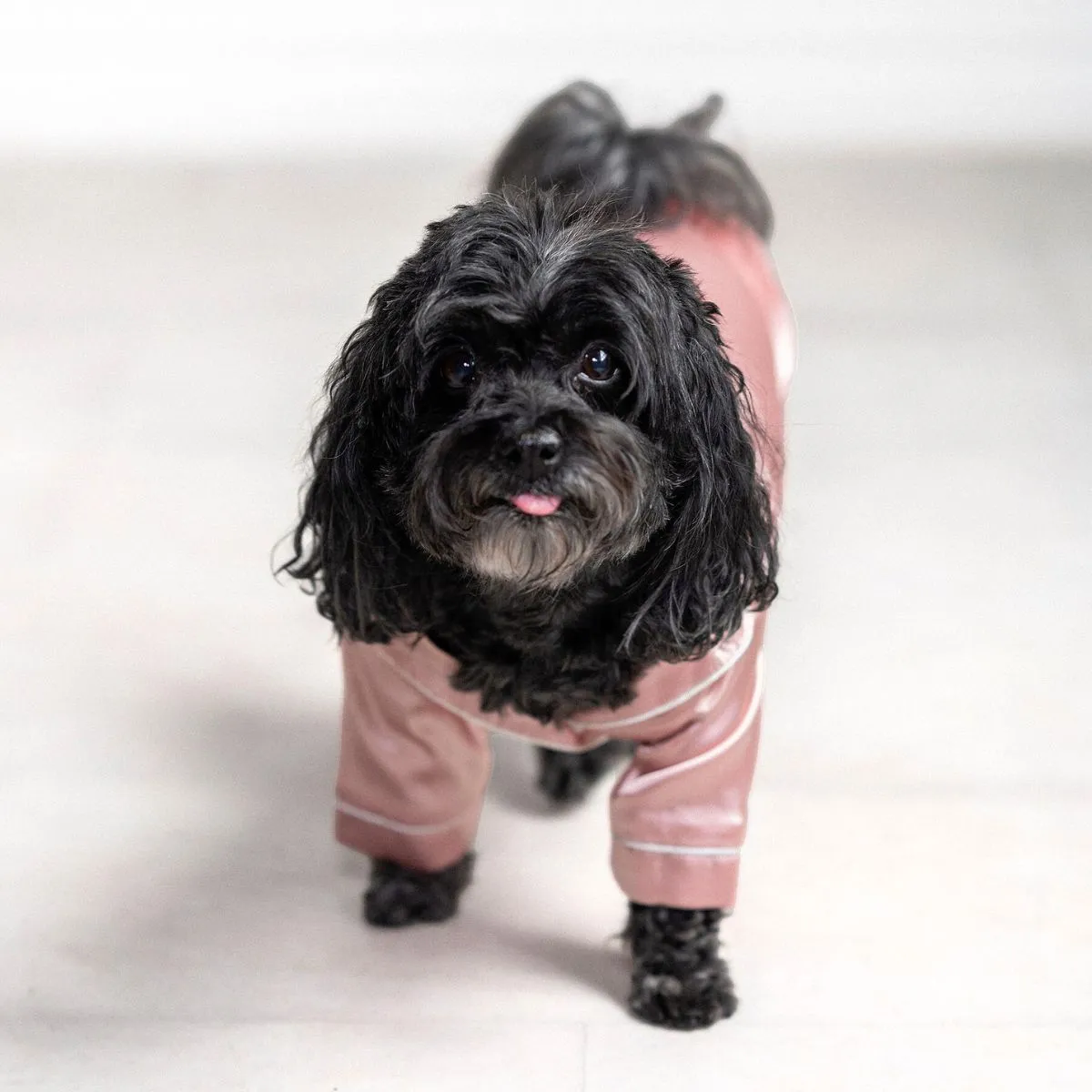 Talula Dog Pajamas